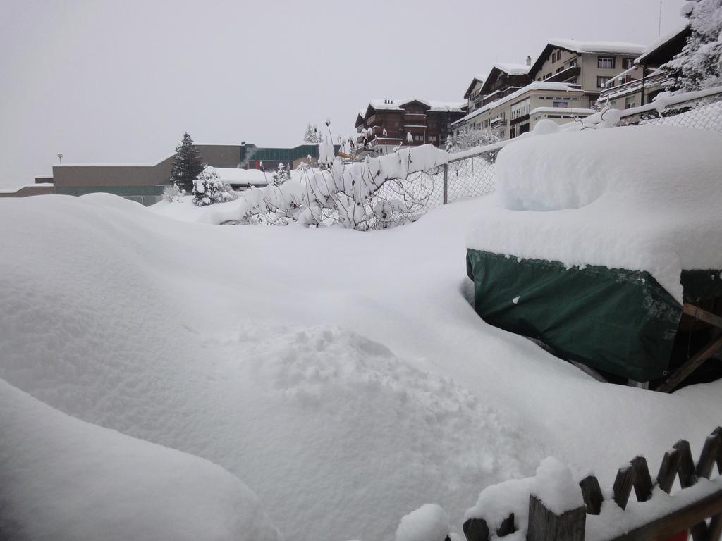 Lehmann'S Herberge Hostel Grindelwald Exterior photo