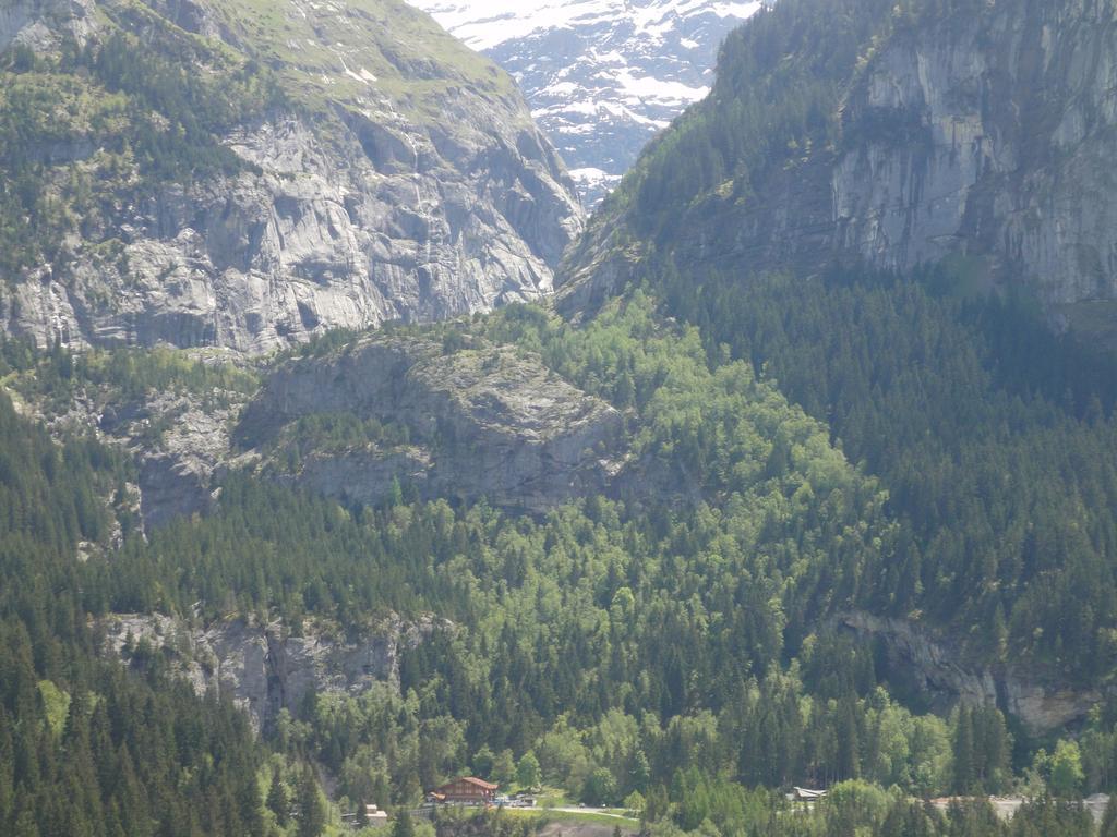 Lehmann'S Herberge Hostel Grindelwald Exterior photo